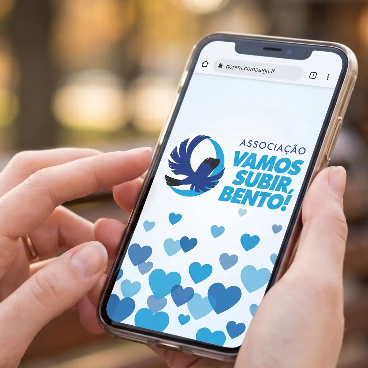 Agradecimento no site da AVSB