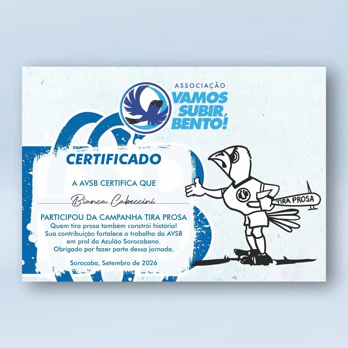 Certificado de apoiador da campanha AVSB